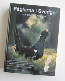 Ny bok!